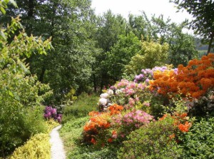 arboretum-smelcovna-boskovice-002